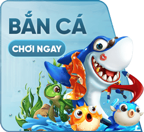banner ban ca